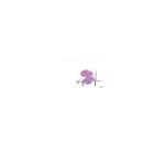 Violettes Bressanes logo